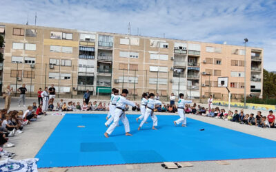 Taekwondo na školskom igralištu OŠ Manuš-Split